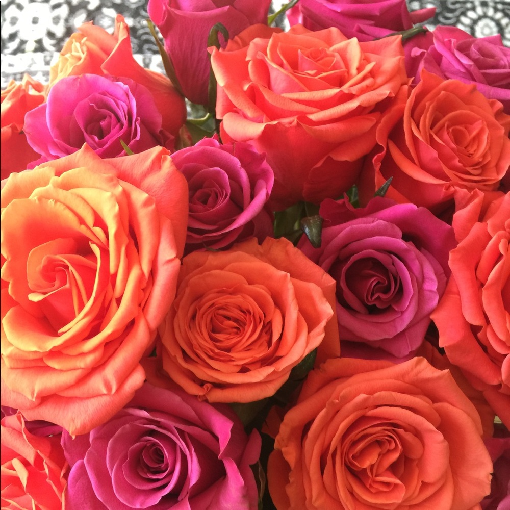 Meet your Posher, Ana